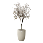 sereh high 40cm beige fungo